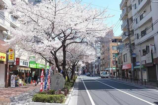 桜台　千川通り